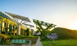 Nature based solutions und Entsiegelung