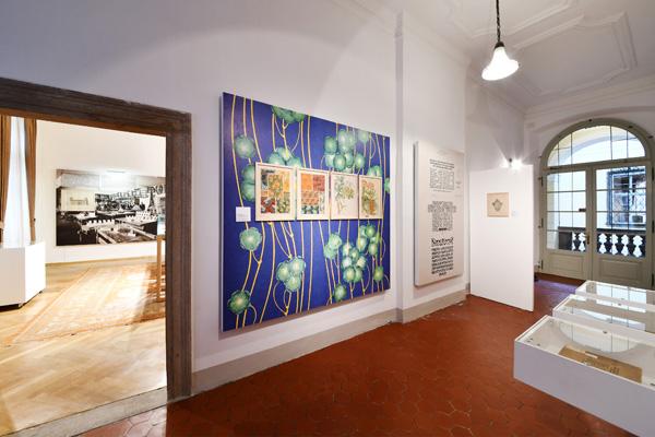 Mostra Mostra
