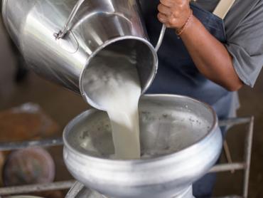 Milchwirtschaft