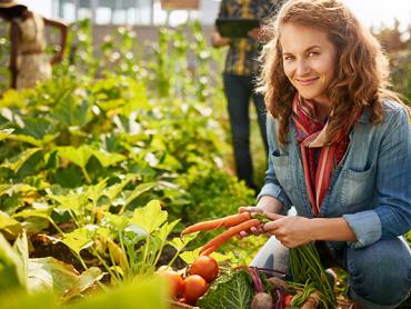 Bäuerliche Direktvermarktung Bäuerliche Direktvermarktung